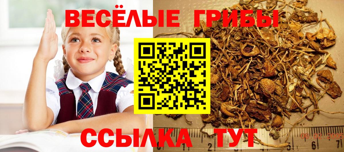 Галлюциногенные грибы Cubensis Туймазы