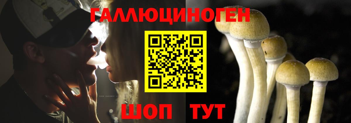 Псилоцибиновые грибы Psilocybe  Псилоцибиновые грибы Psilocybine cubensis  Вход с VPN  Туймазы 
